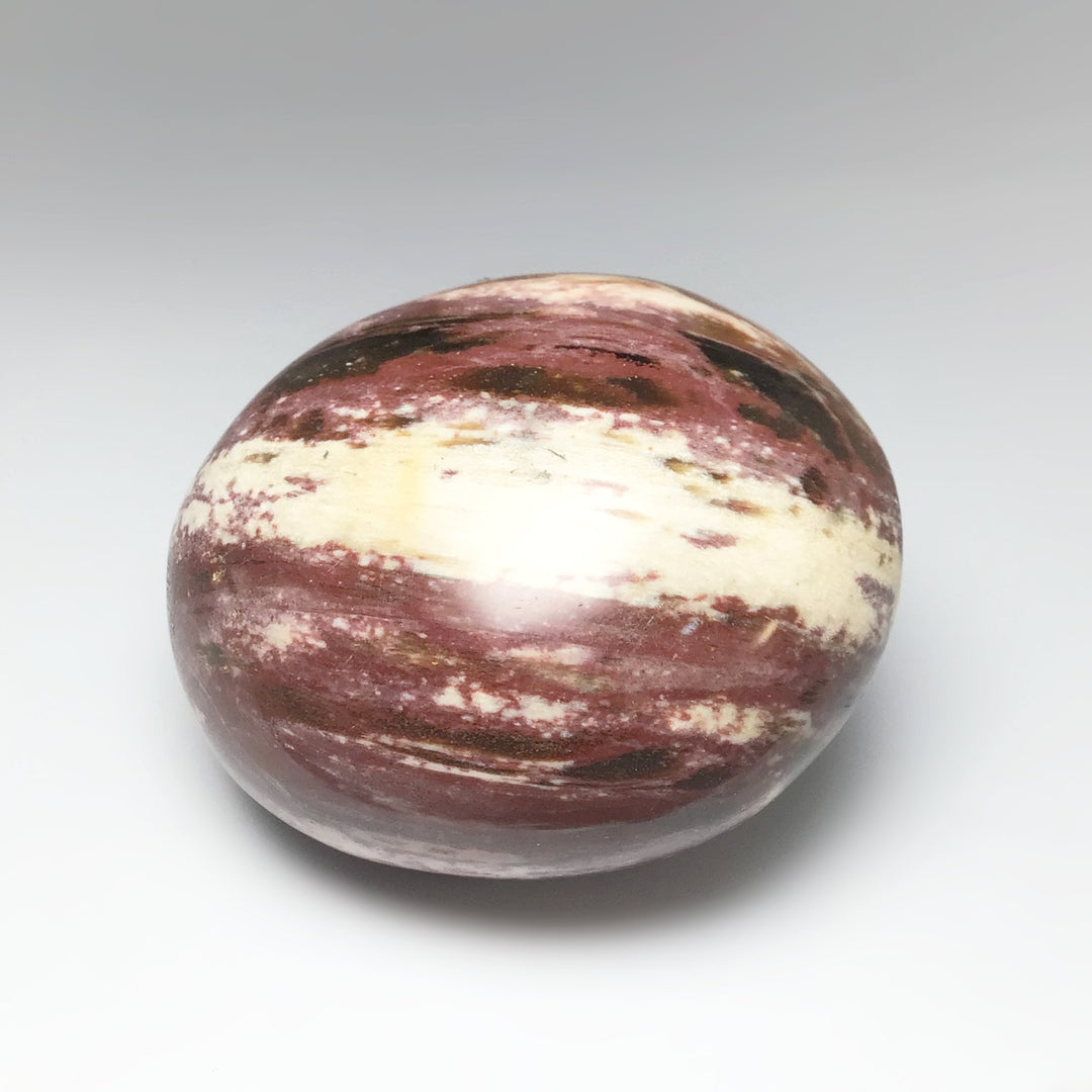 Petrified Wood Tumble - Rocks and Gems Canada