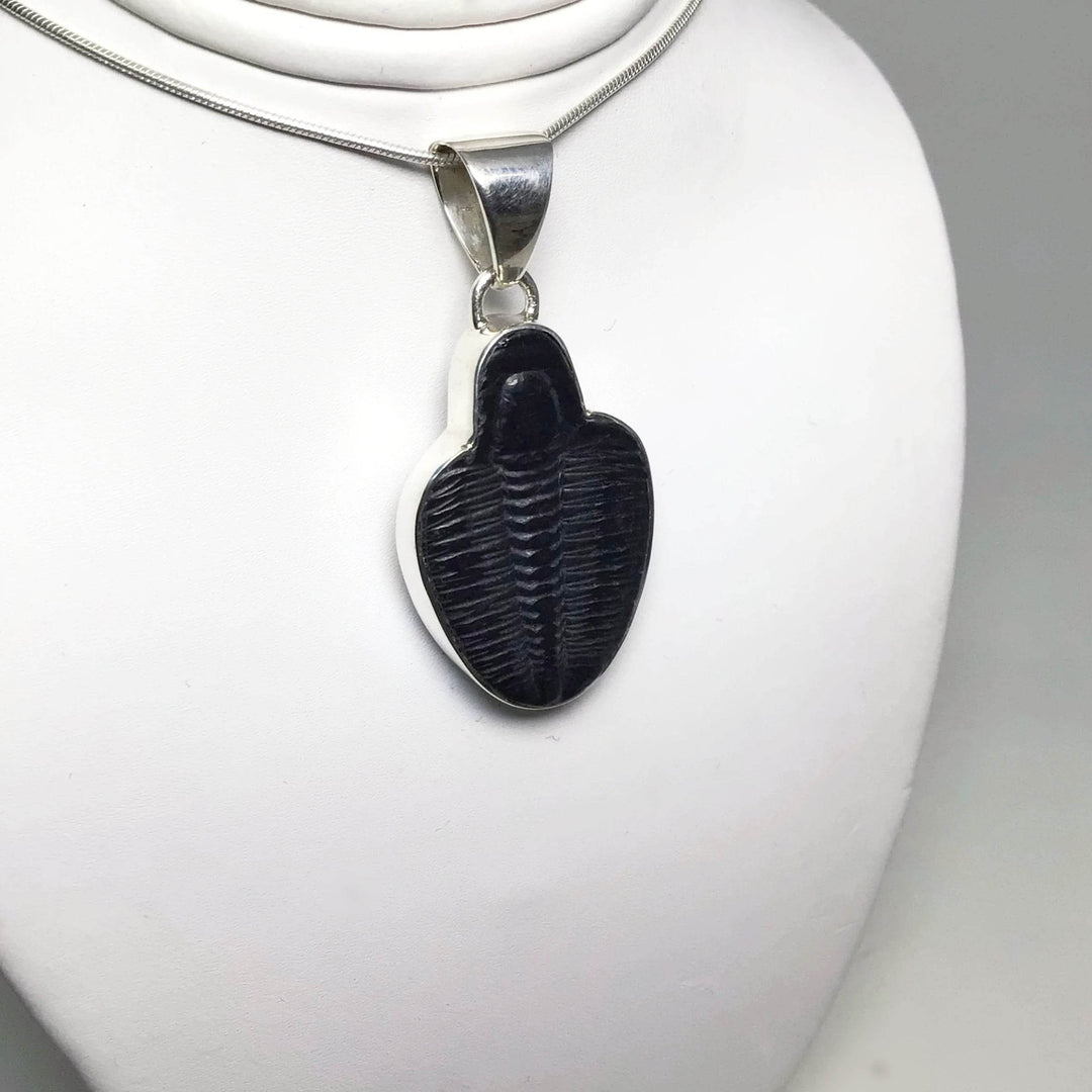Trilobite Elrathia Kingii Fossil Pendant - Rocks and Gems Canada