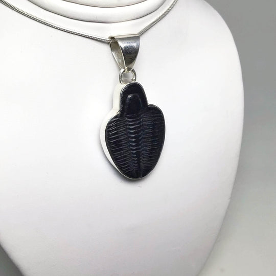 Trilobite Elrathia Kingii Fossil Pendant - Rocks and Gems Canada