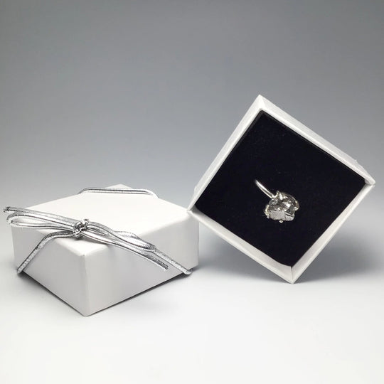 Campo Del Cielo Meteorite Ring - Rocks and Gems Canada