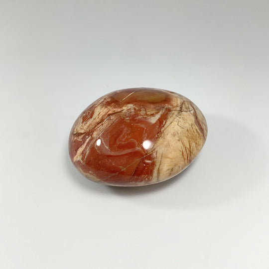 Petrified Wood Tumble - Rocks and Gems Canada