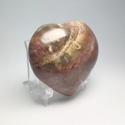 Petrified Wood Heart