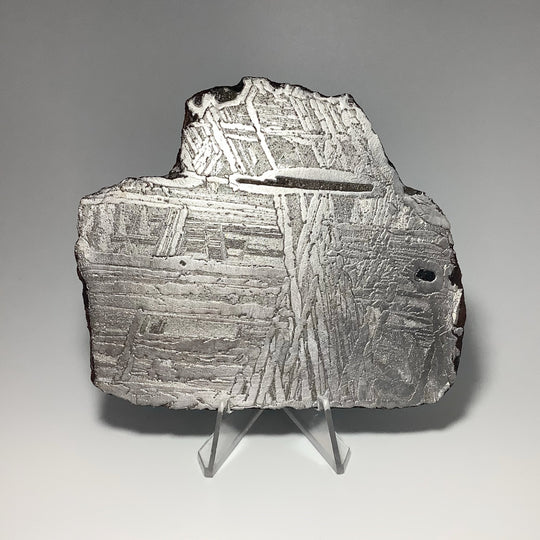 Seymchan Meteorite Slice - Rocks and Gems Canada