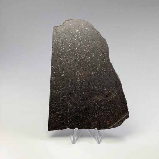 NWA Chondrite Meteorite Slab - Rocks and Gems Canada
