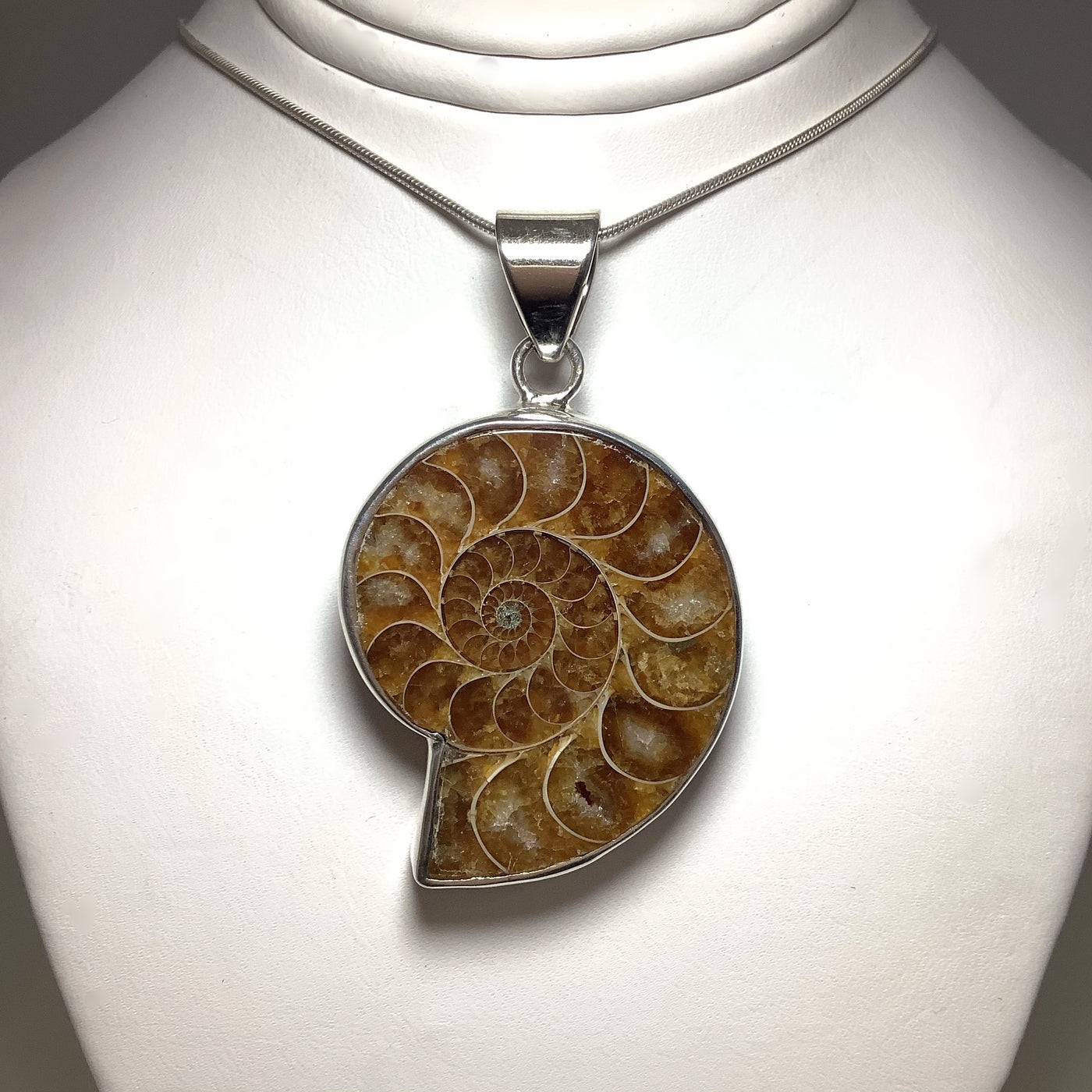 Chambered Ammonite Pendant
