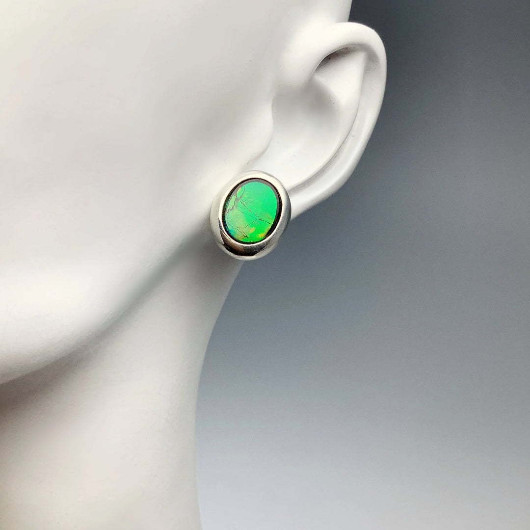 Alberta Ammolite Stud Earrings - Rocks and Gems Canada