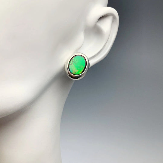 Alberta Ammolite Stud Earrings - Rocks and Gems Canada