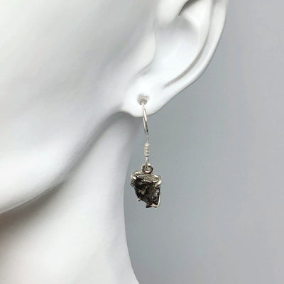 Campo Del Cielo Meteorite Dangle Earrings