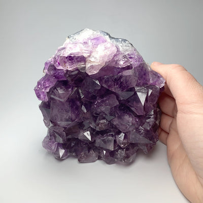 Amethyst Druze Cluster