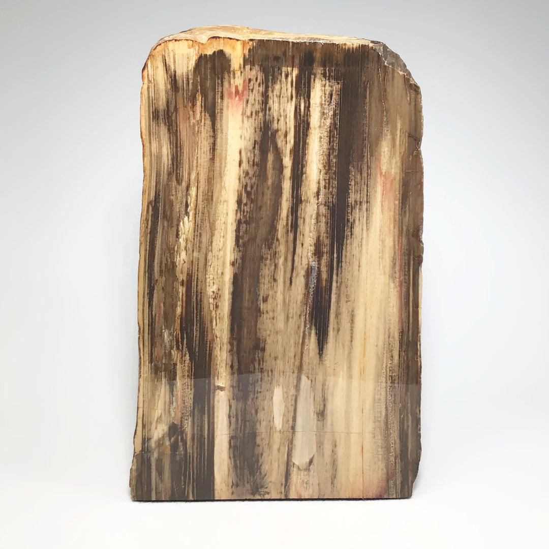 Petrified Wood Stand Up - Rocks and Gems Canada