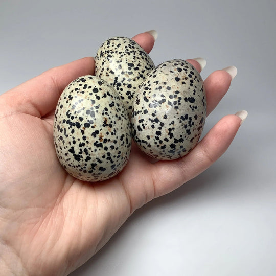 Dalmatian Jasper Egg - Rocks and Gems Canada