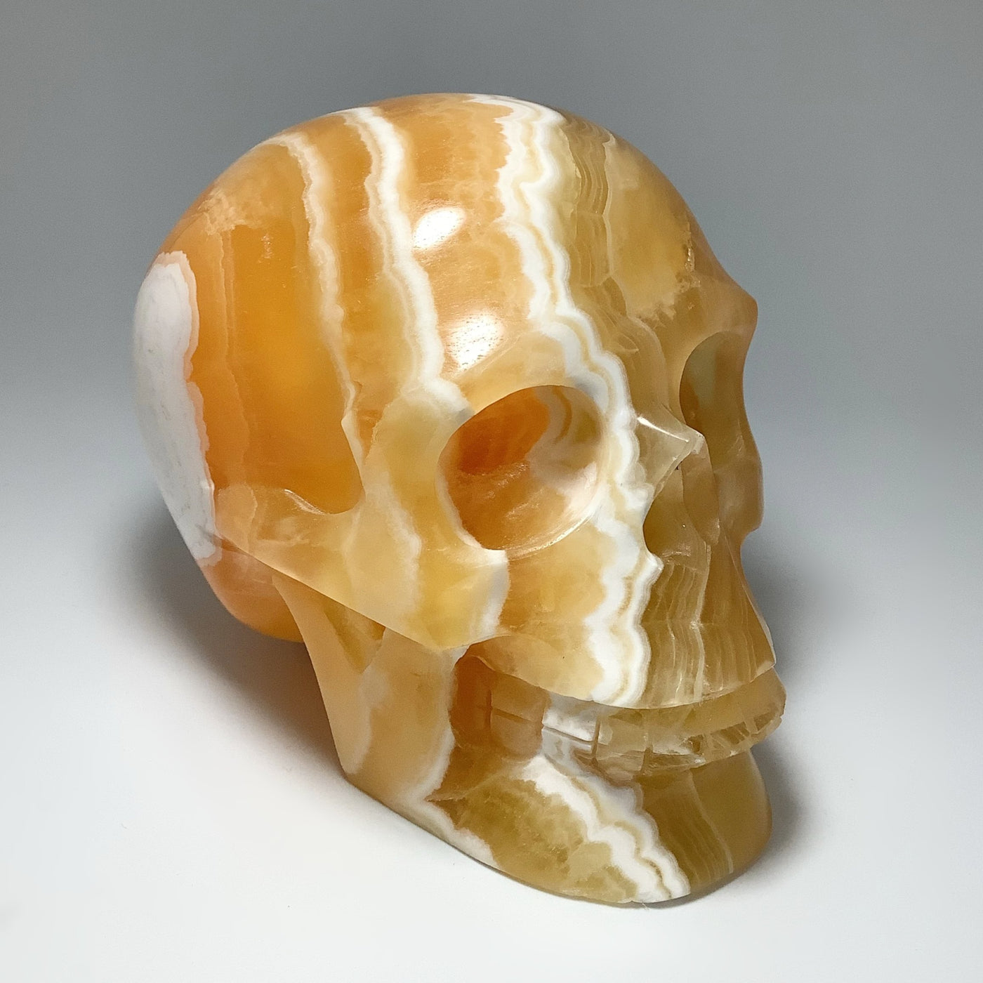 Honey Onyx Calcite Skull