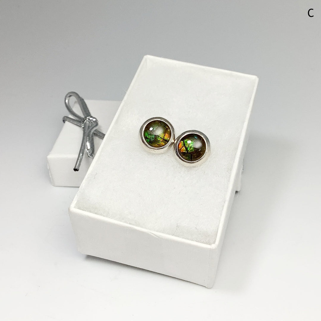 Alberta Ammolite Stud Earrings - Rocks and Gems Canada
