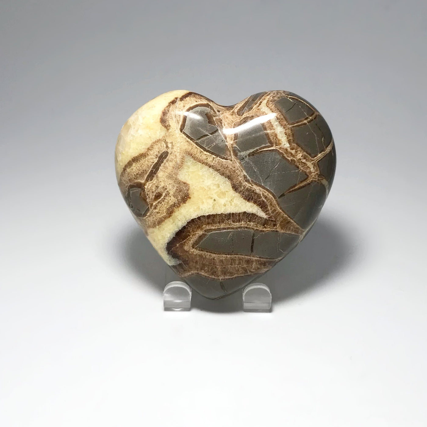 Septarian Heart