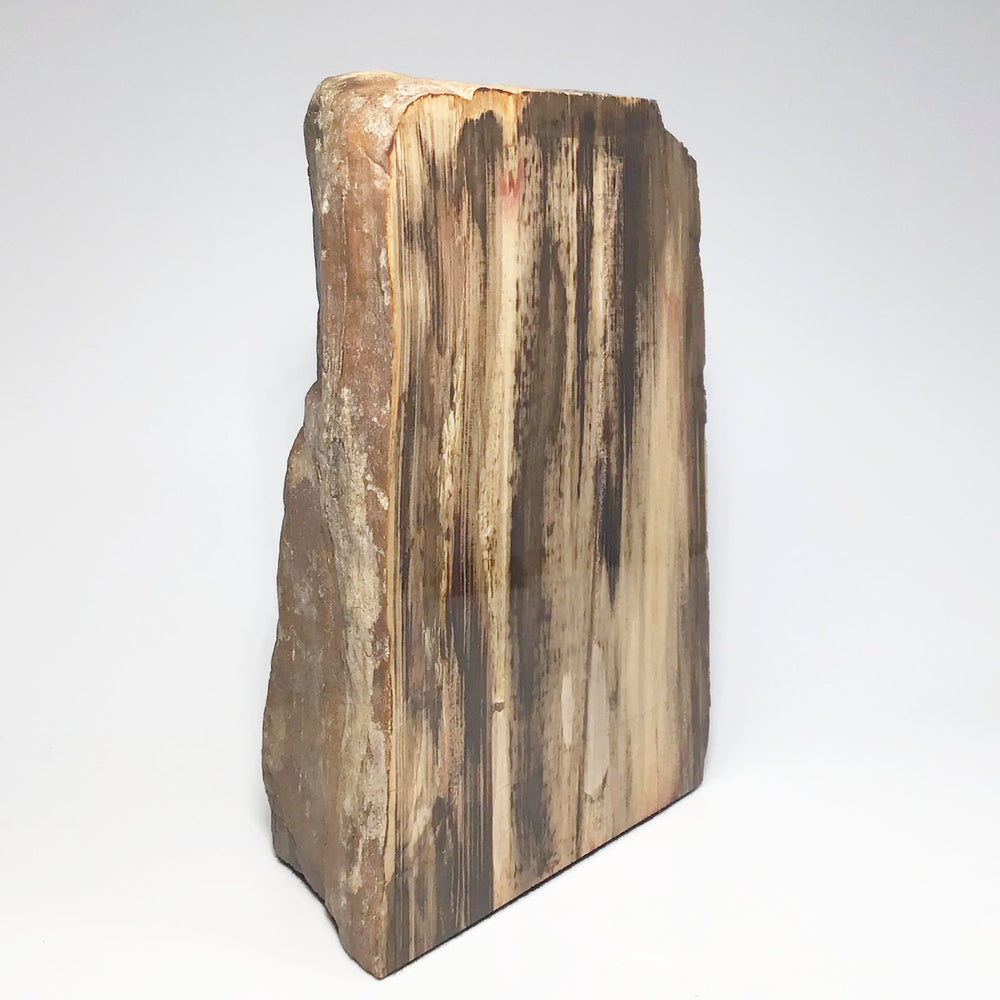 Petrified Wood Stand Up - Rocks and Gems Canada
