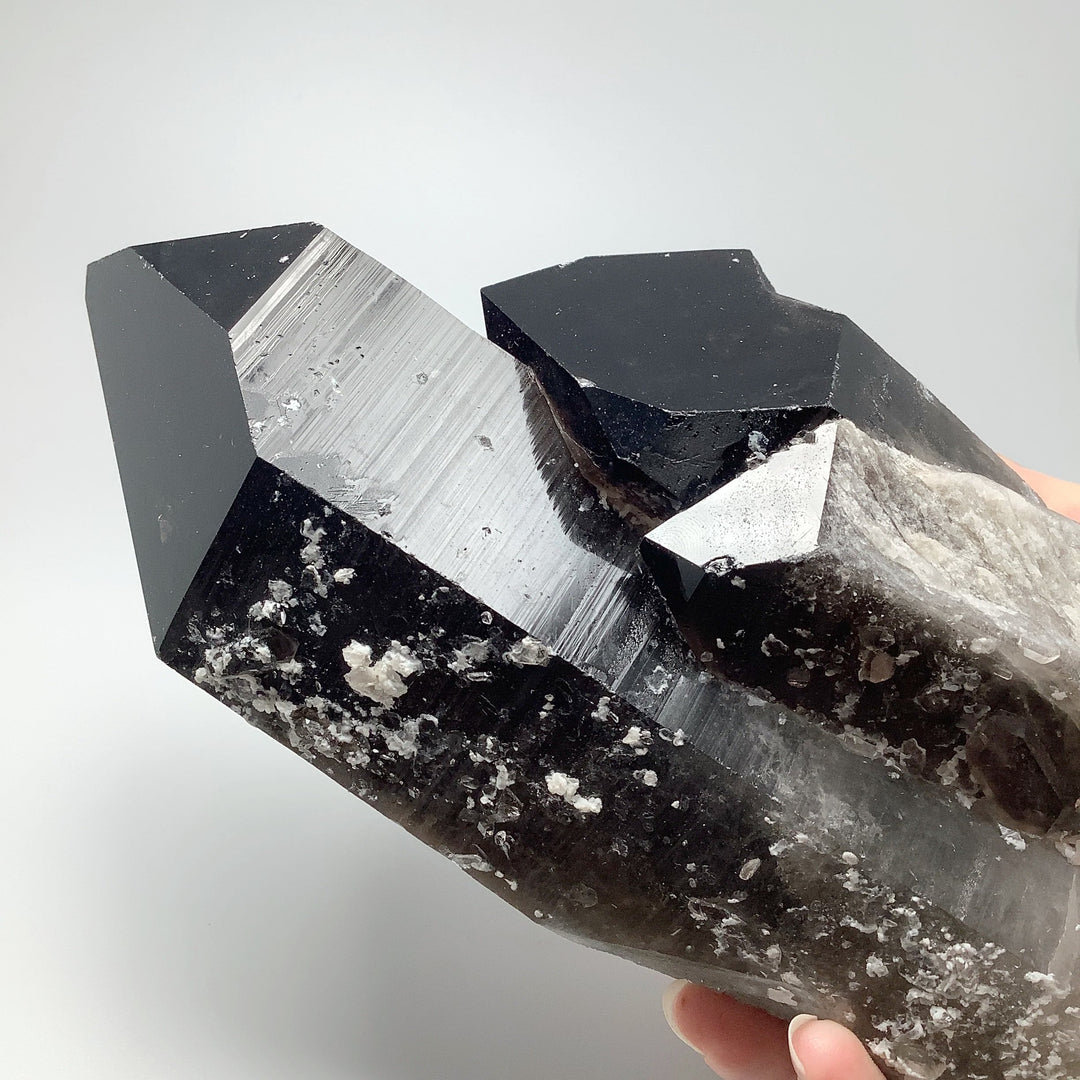 Smoky Quartz Extra Large Cluster