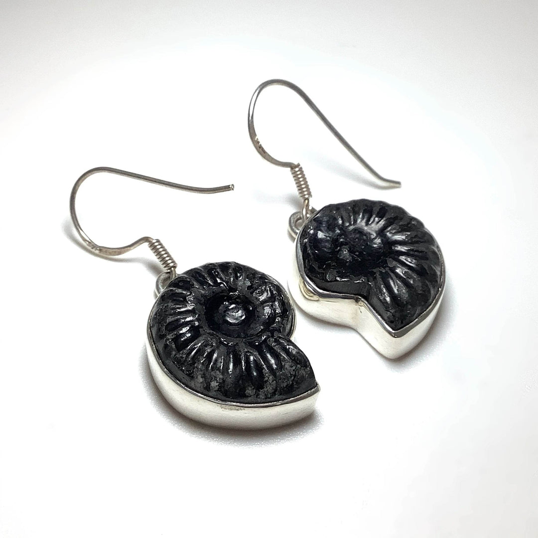 Black Goniatite Ammonite Dangle Earrings - Rocks and Gems Canada
