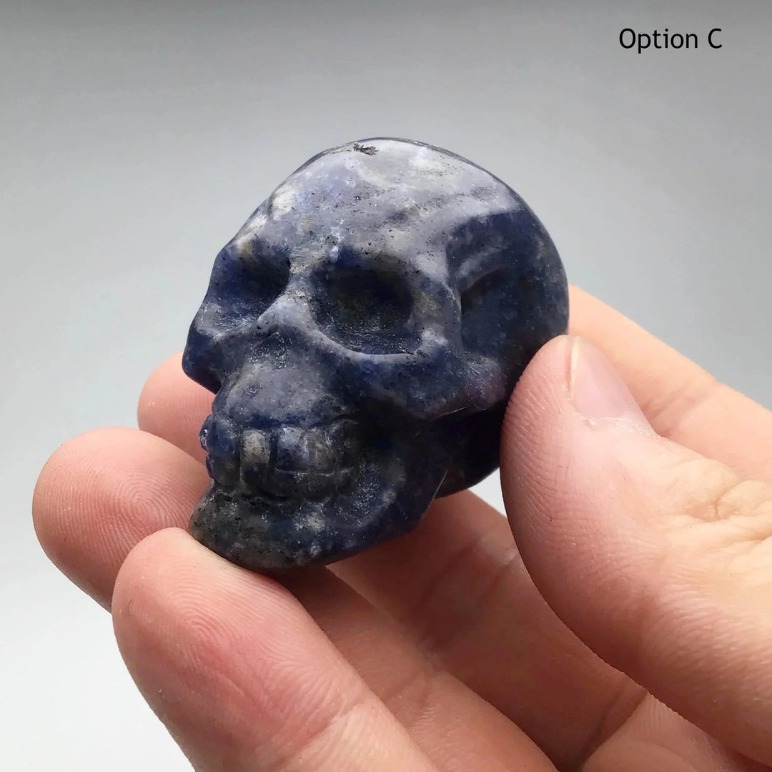 Carved Sodalite Skull - Rocks and Gems Canada