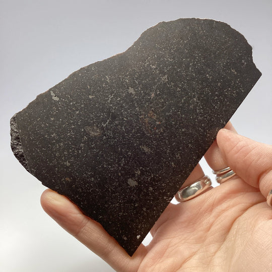 NWA Chondrite Meteorite Slab - Rocks and Gems Canada