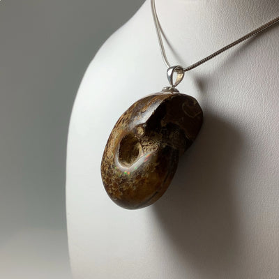 Colourful Ammonite Pendant