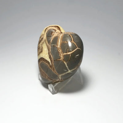 Septarian Heart
