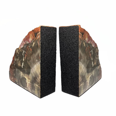 Araucaria Petrified Wood Bookends