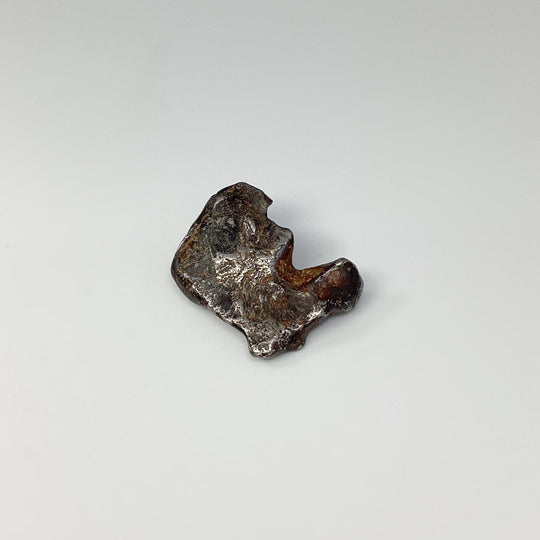 Sericho Meteorite - Rocks and Gems Canada