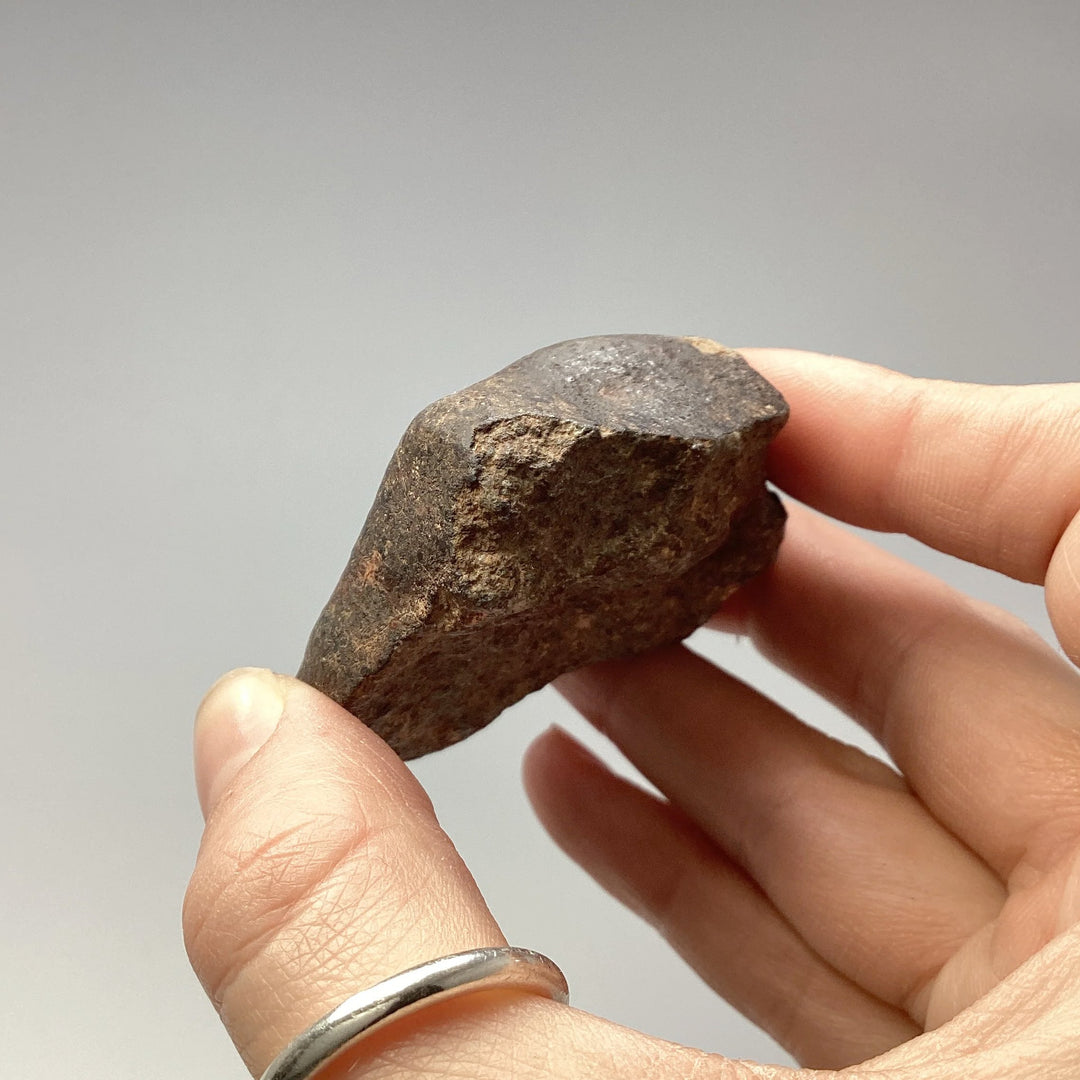 NWA Chondrite Meteorite Specimen - Rocks and Gems Canada