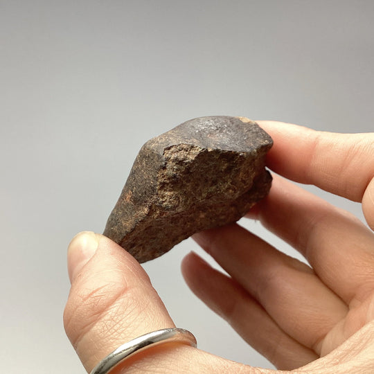 NWA Chondrite Meteorite Specimen - Rocks and Gems Canada