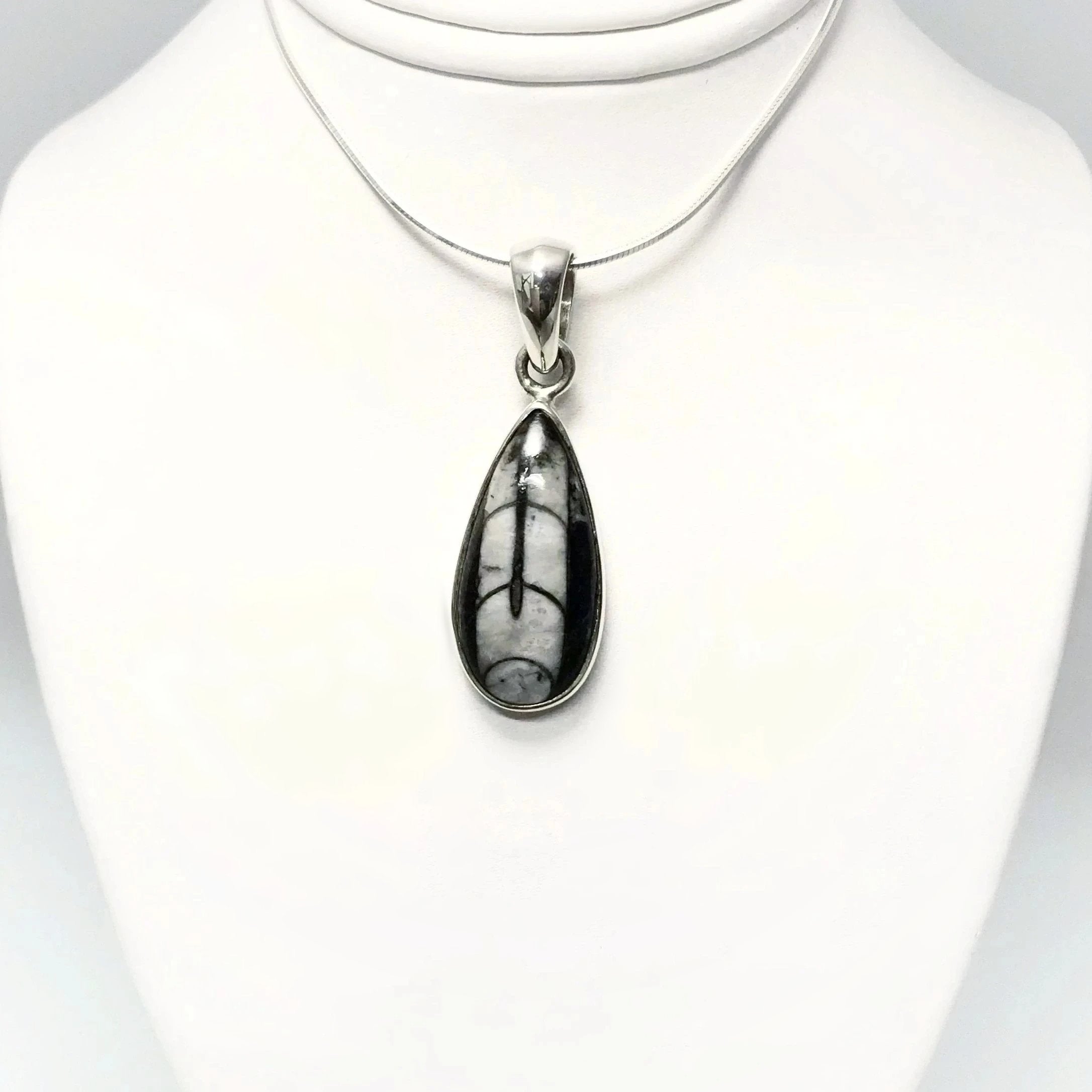 Orthoceras Pendant - Rocks and Gems Canada