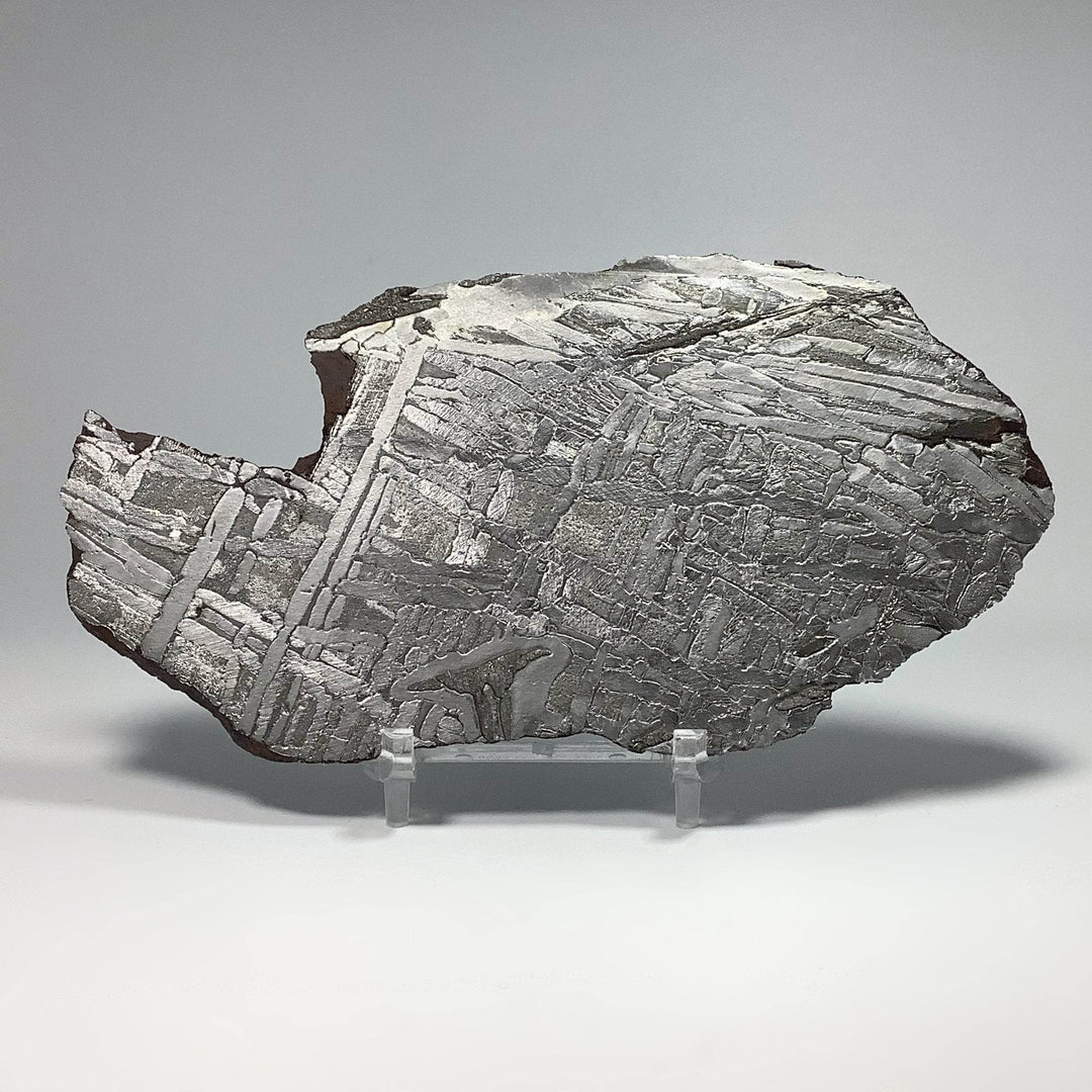 Seymchan Meteorite Slice - Rocks and Gems Canada