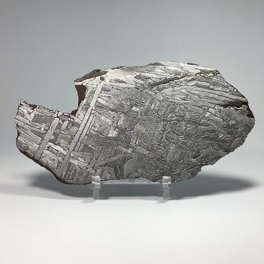 Seymchan Meteorite Slice - Rocks and Gems Canada
