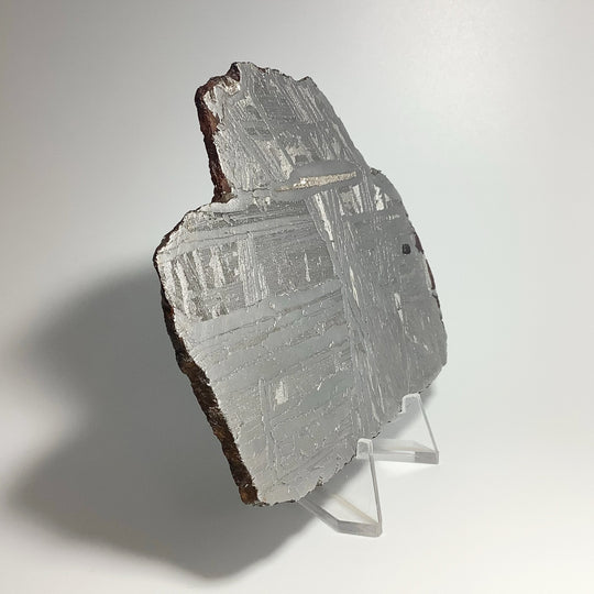 Seymchan Meteorite Slice - Rocks and Gems Canada